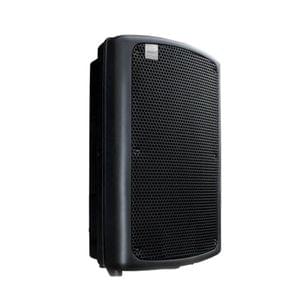 Ashton MAS12 12 Inch 250 Watt Passive Speaker